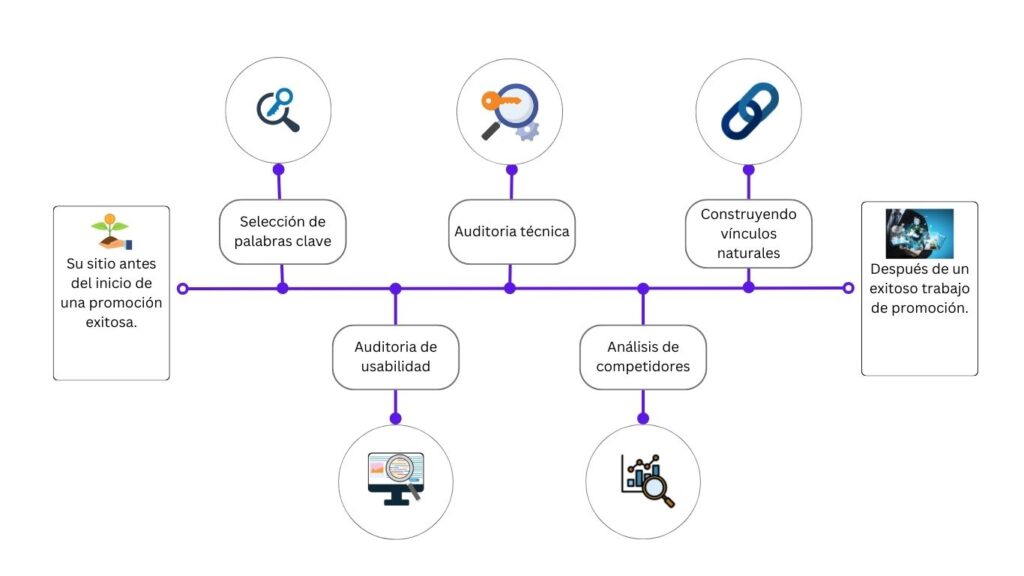 Etapas de trabajo de promoción